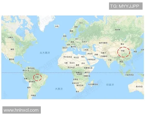 中国与巴西足球明星对比分析及其影响力探讨