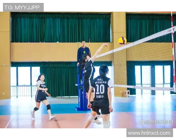 南京排球队技术实力强劲荣登全国排球技术排行榜第六名