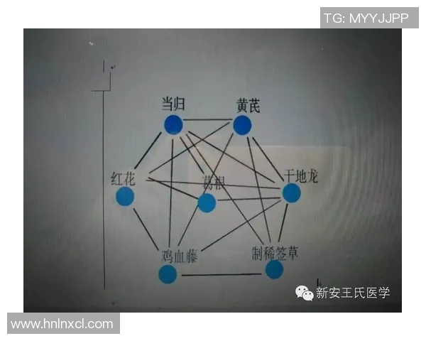 广州排球队在联合会杯中的比赛经验与表现分析