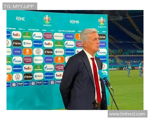 波黑足球明星的崛起与成就探讨