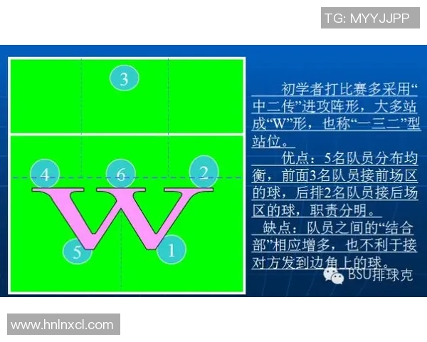 武汉排球队战术解析与对比研究揭示球队优势与不足之处